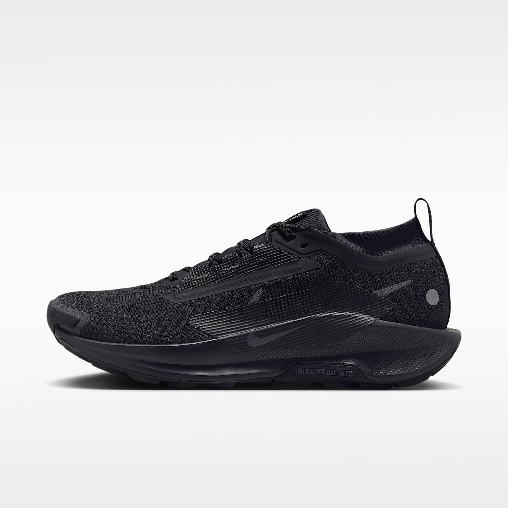 Nike Pegasus Trail 5 GORE-TEX, Svart